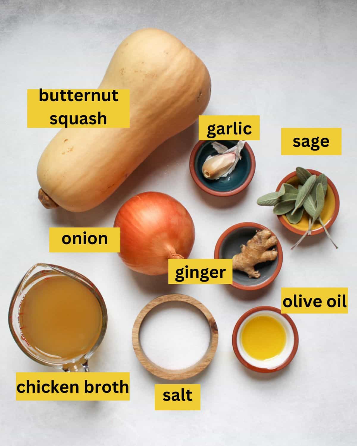 All the recipe ingredients arranged on a white background, each labeled as butternut squash soup, garlic, sage, onion, ginger, chicken broth, salt, olive oil.