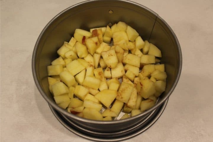 Sringform cake with cubed apples at the bottom of it.