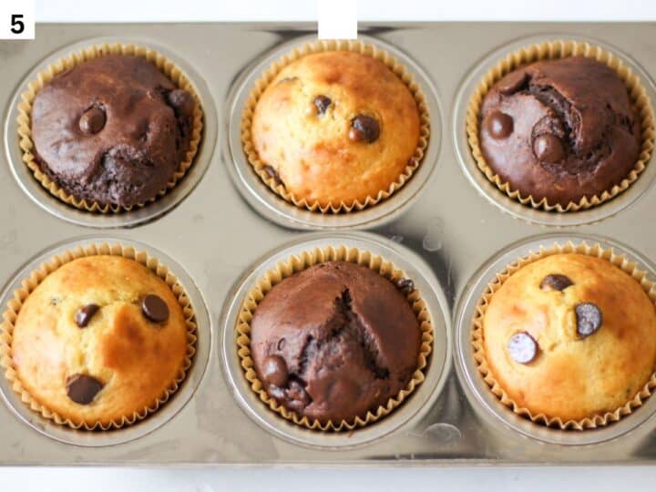 Baked small batch chocolate chip muffins in a muffins pan.