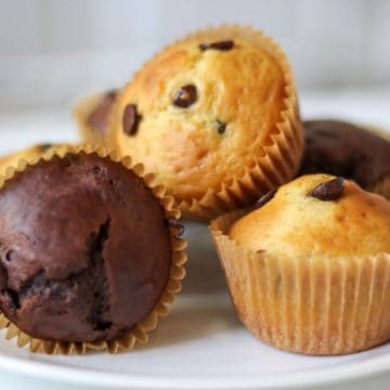 Vanilla and double chocolate muffins on a white plate.
