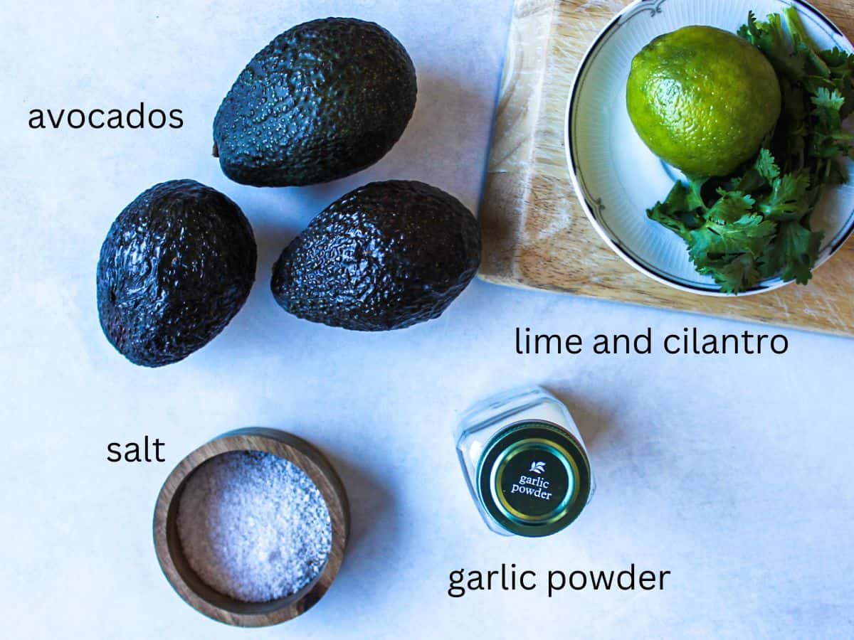 No onions guacamole labeled ingredients on a grey surface.
