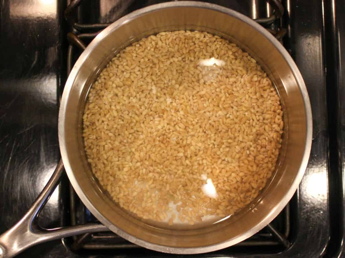 How To Cook Different Types Of Barley Step By Step Instructions   Barley Cooking 