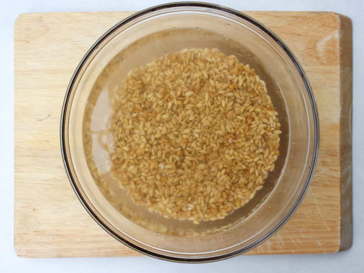 Barley grain in a glass bowl filled with water.