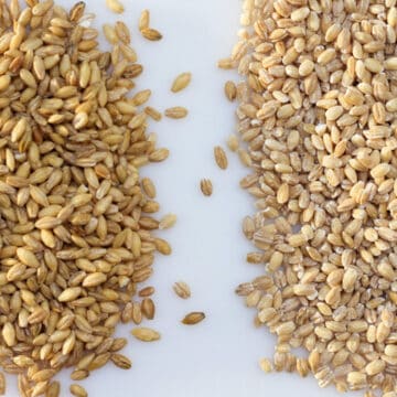 A heap of darker barley grain is on the left side and the lighter barley is on the tight side. The background is white.