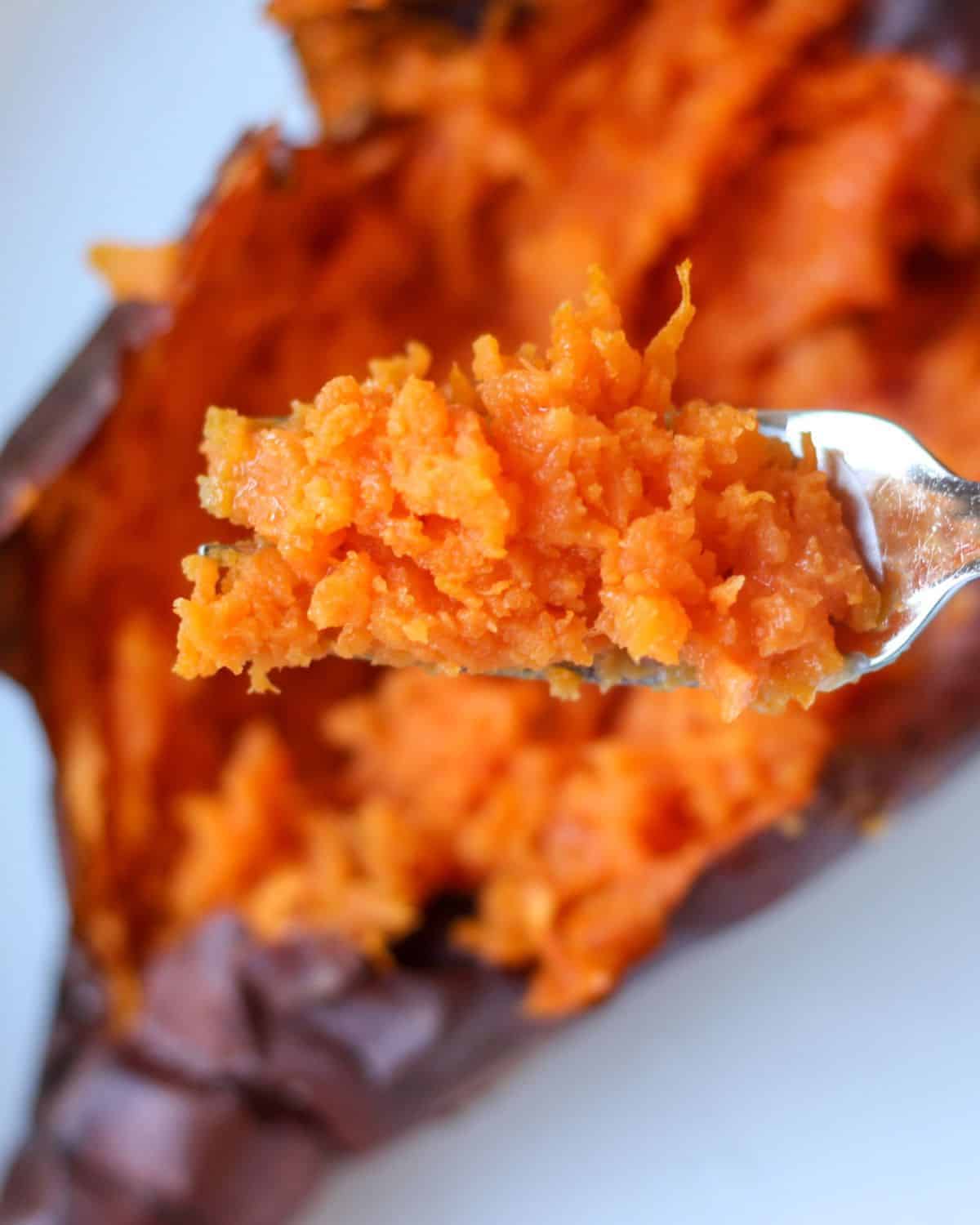 A fork with a red fluffy sweet potato flesh and a whole cooked potato in the background.