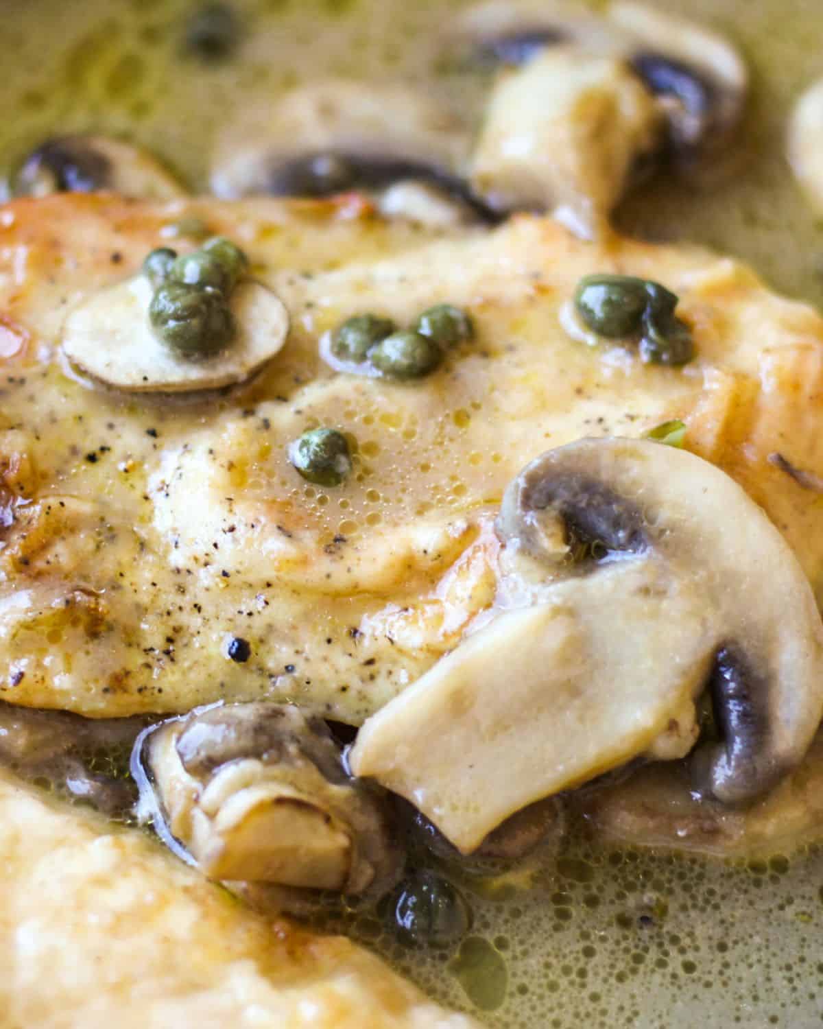 Cooked chicken breasts in sauce with capers and mushrooms.