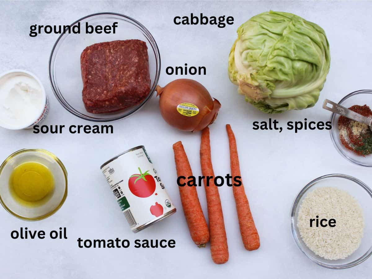 Recipe ingredients on a white background: ground beef, onion, whole head of cabbage, tomato sauce, carrots, rice, oil, sour cream, salt and spices.