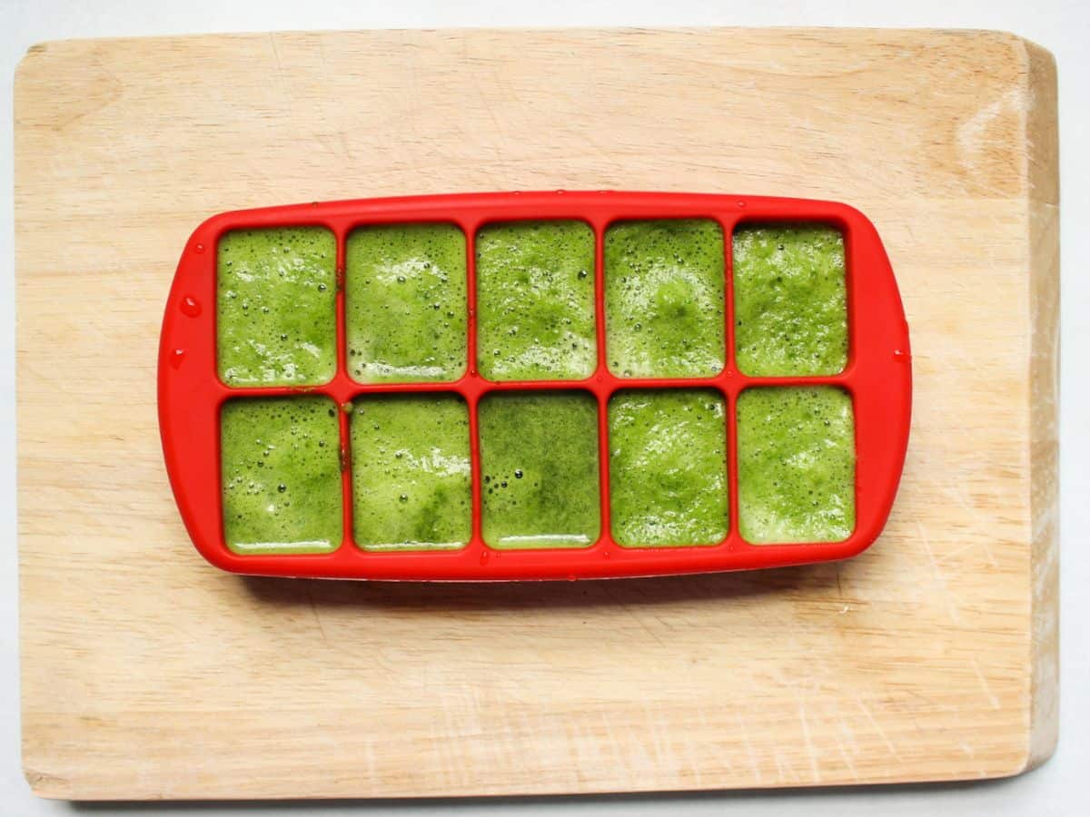 Red ice cube tray filled with pureed greens .