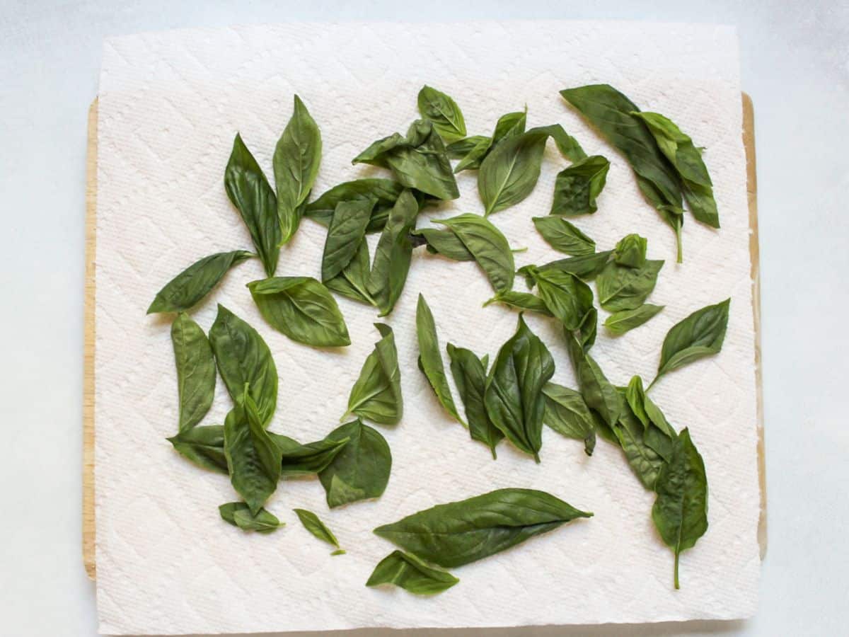 Lose basil leaves drying on a paper towels.