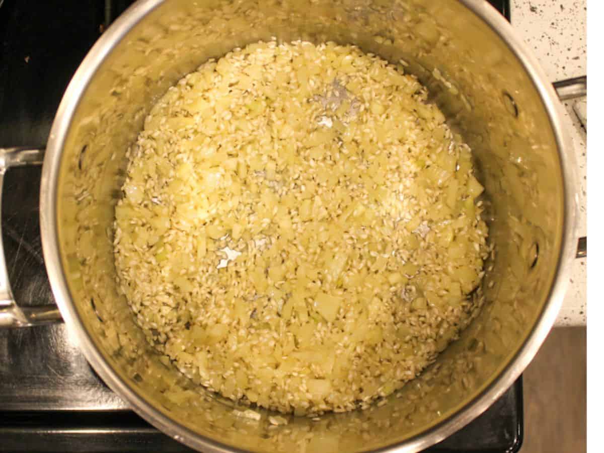 Arborio rice added to the pot with fennel and shallot.