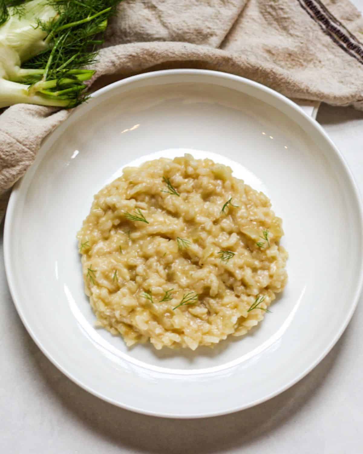 Fennel risotto in a shallow white dish garnished with green fronds. The part of fresh fennel bulb on a grey towel visible on top left side behind the plate.