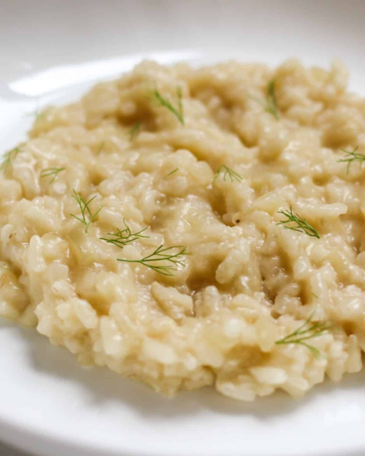 Creamy risotto in a white dish garnished with green fennel fronds.