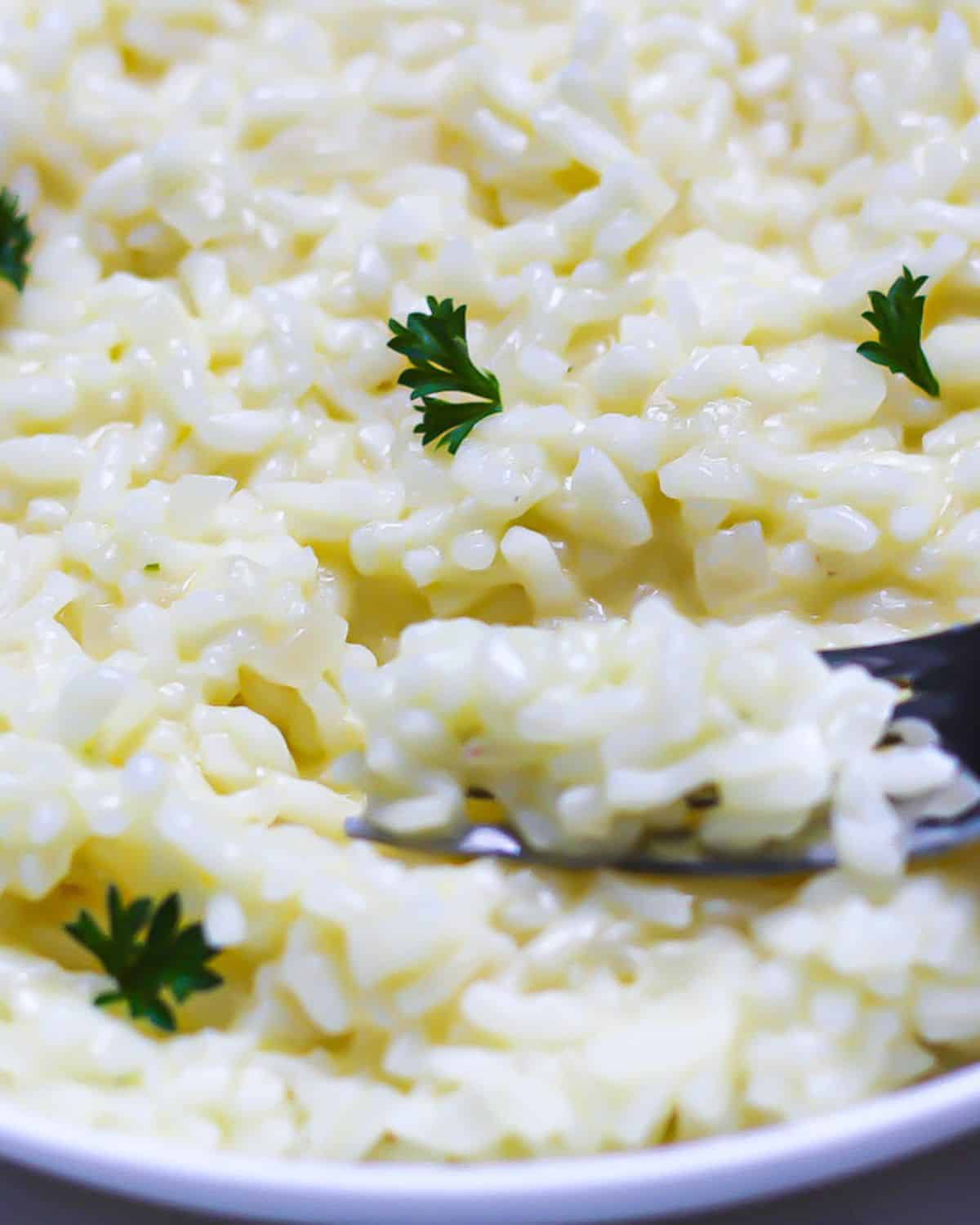 Creamy risotto in a plate with a fork scooping some. There is few fresh parsley leaves on top of the dish.