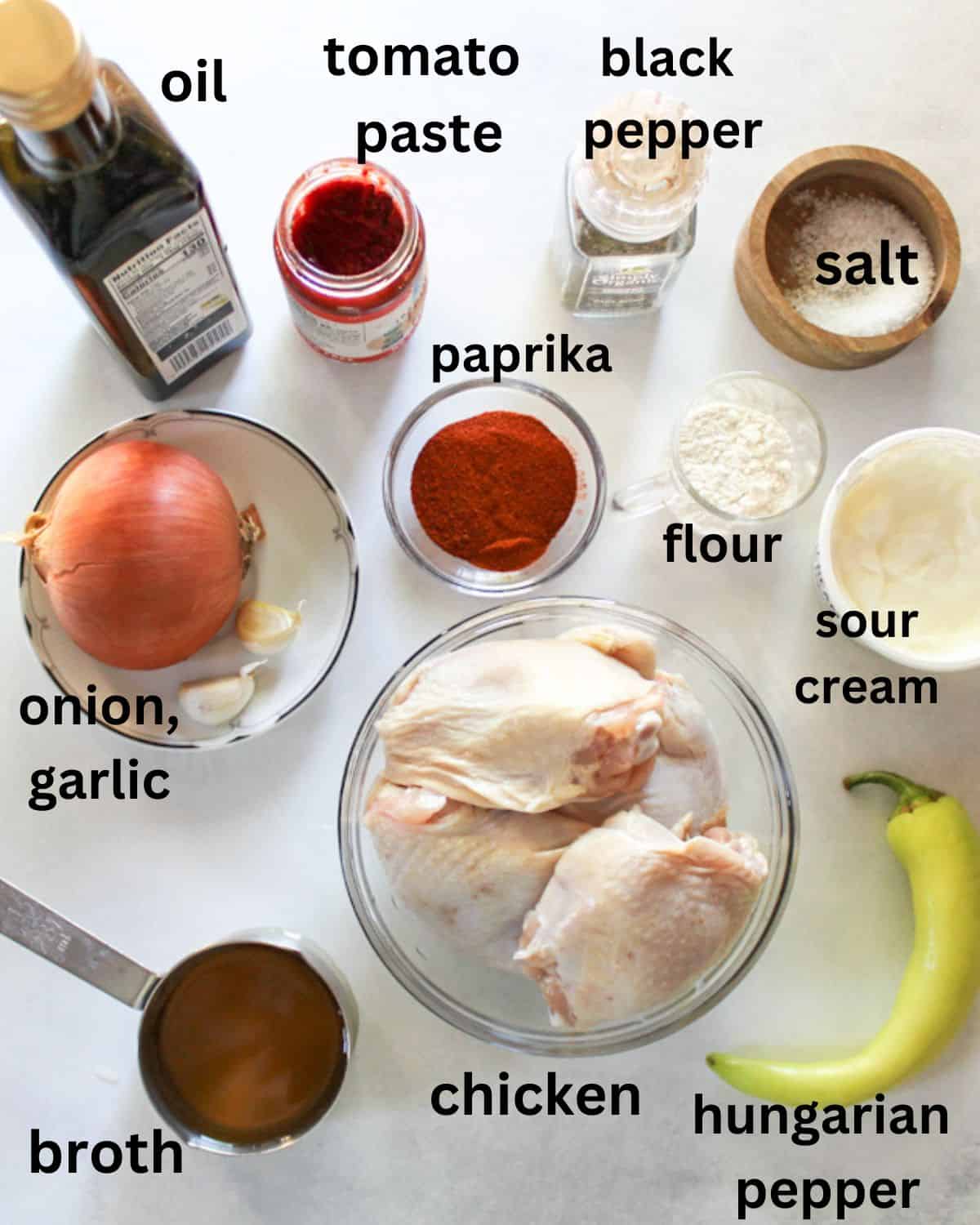 Recipe ingredients on a white background labeled as oil, tomato pasta. black pepper, salt, onion, garlic, paprika, flour, sour cream, broth. chicken, Hungarian pepper.