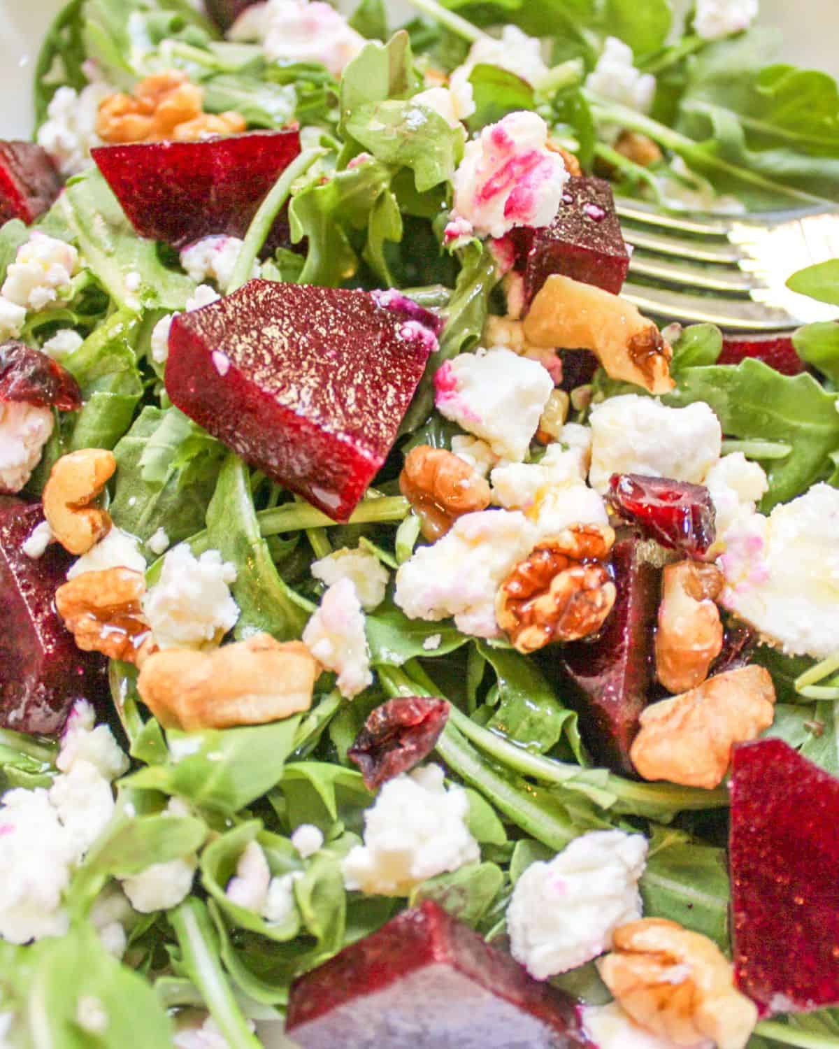 Arugula greens with sliced beets, goat cheese and walnuts with a fork in it. 