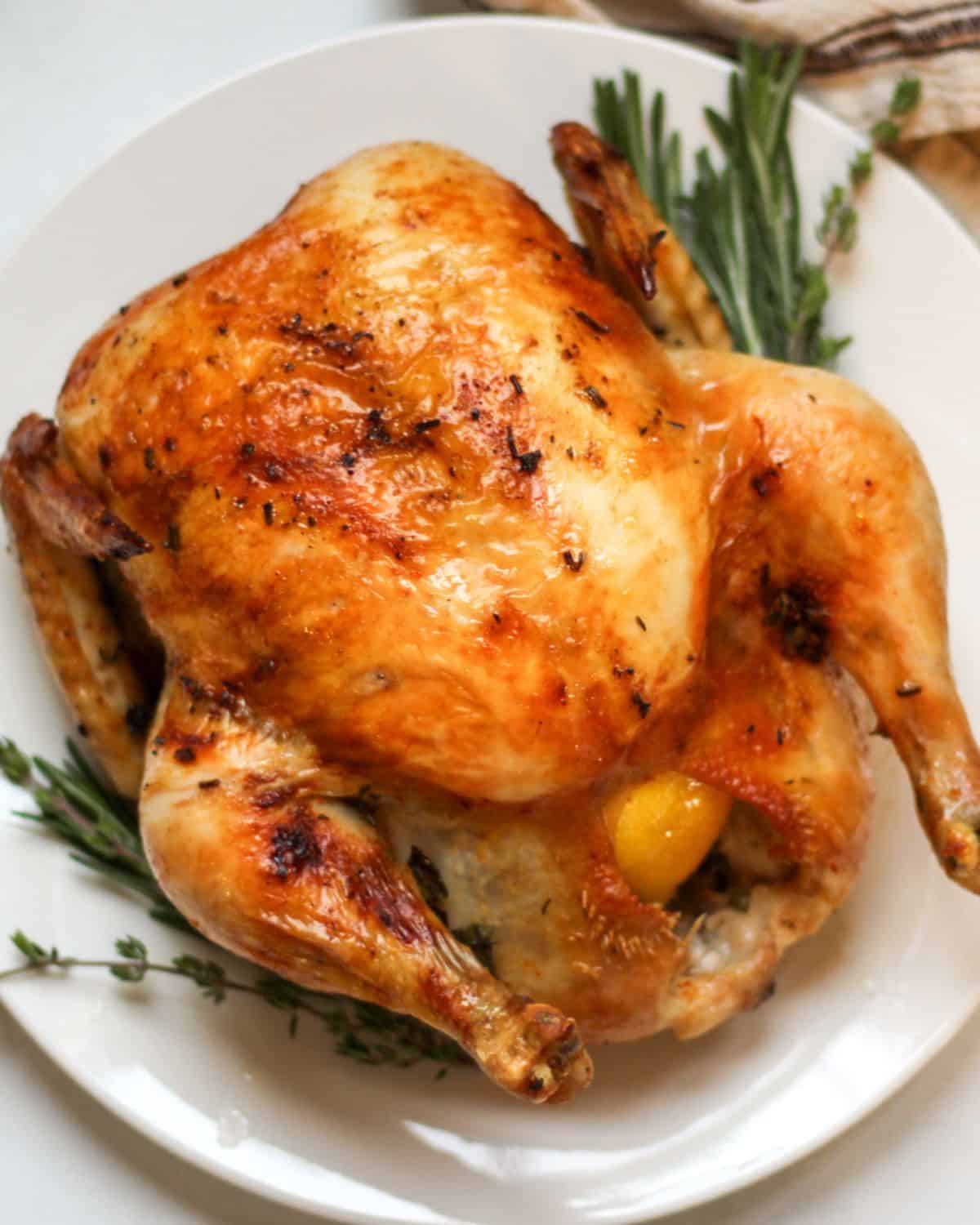 Whole roasted chicken on a white plate with rosemary and thyme on the sides. 