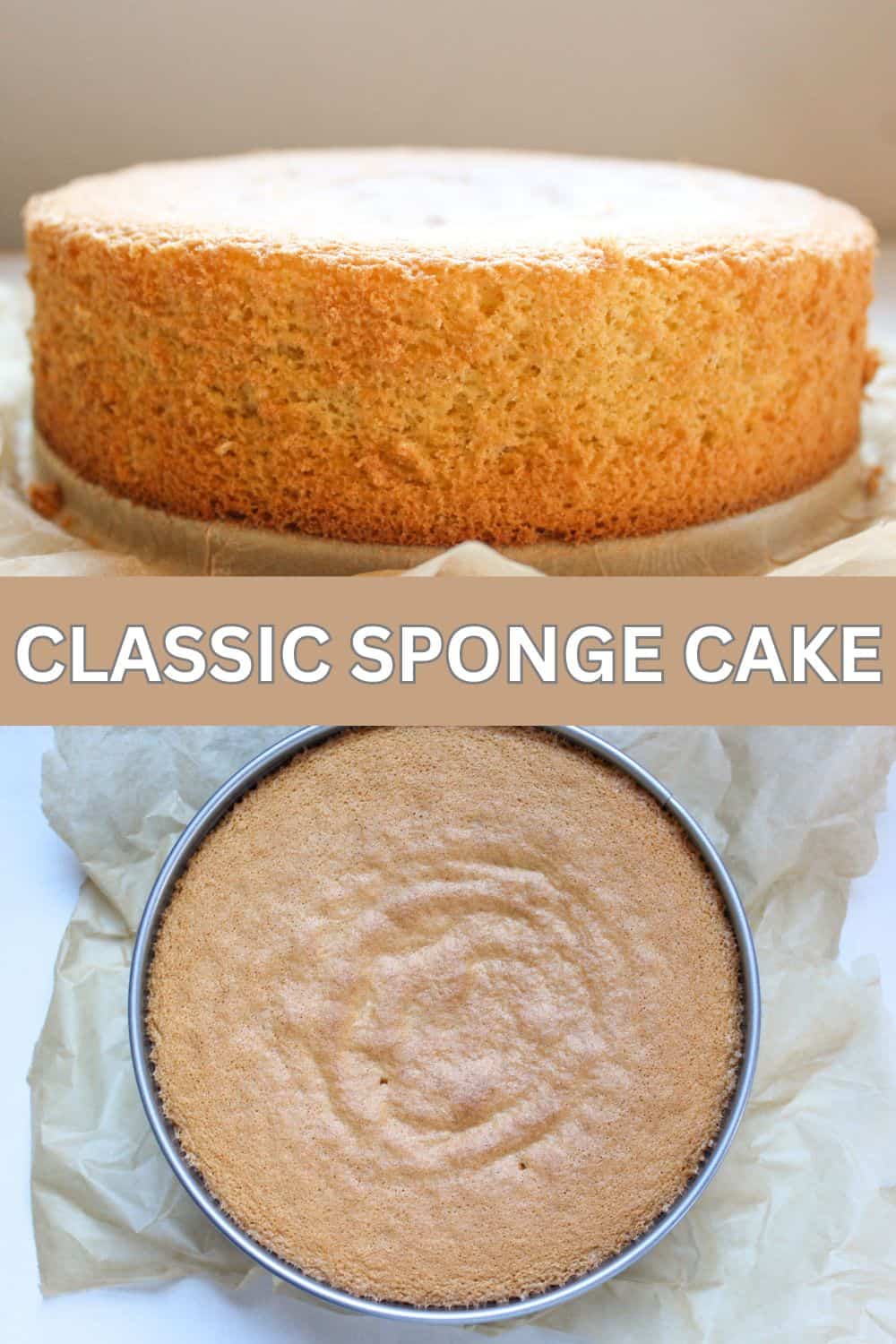 My GoTo Basic Sponge Cake Recipe Savas Kitchen