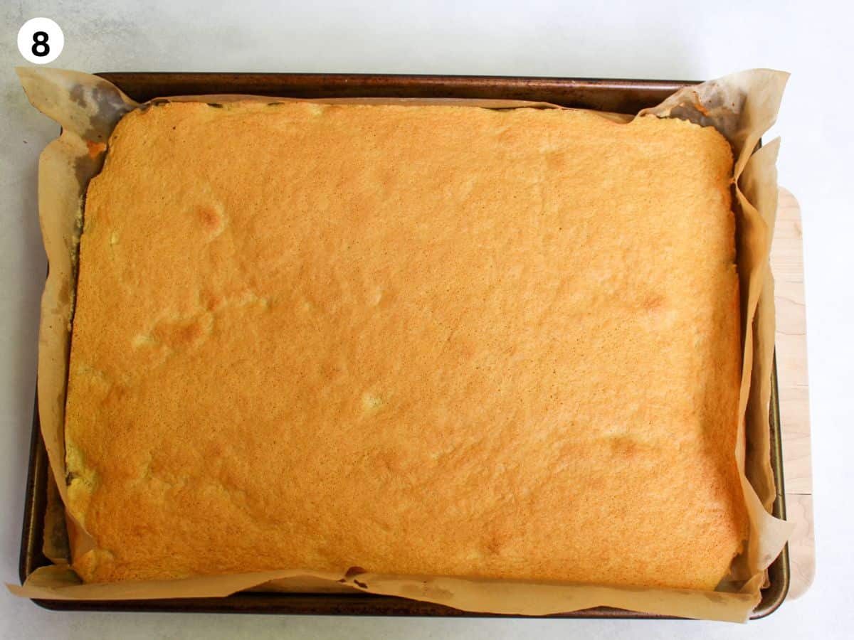 Baked cake on a large baking pan. 