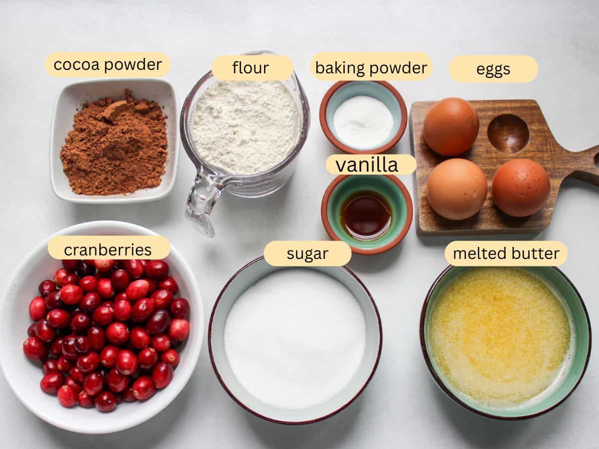 Measured recipe ingredients on a white background: cocoa powder, flour, baking powder, eggs, vanilla, fresh cranberries, sugar, melted butter.