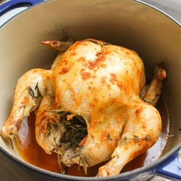 Roasted whole chicken with golden skin in a dutch oven pot.