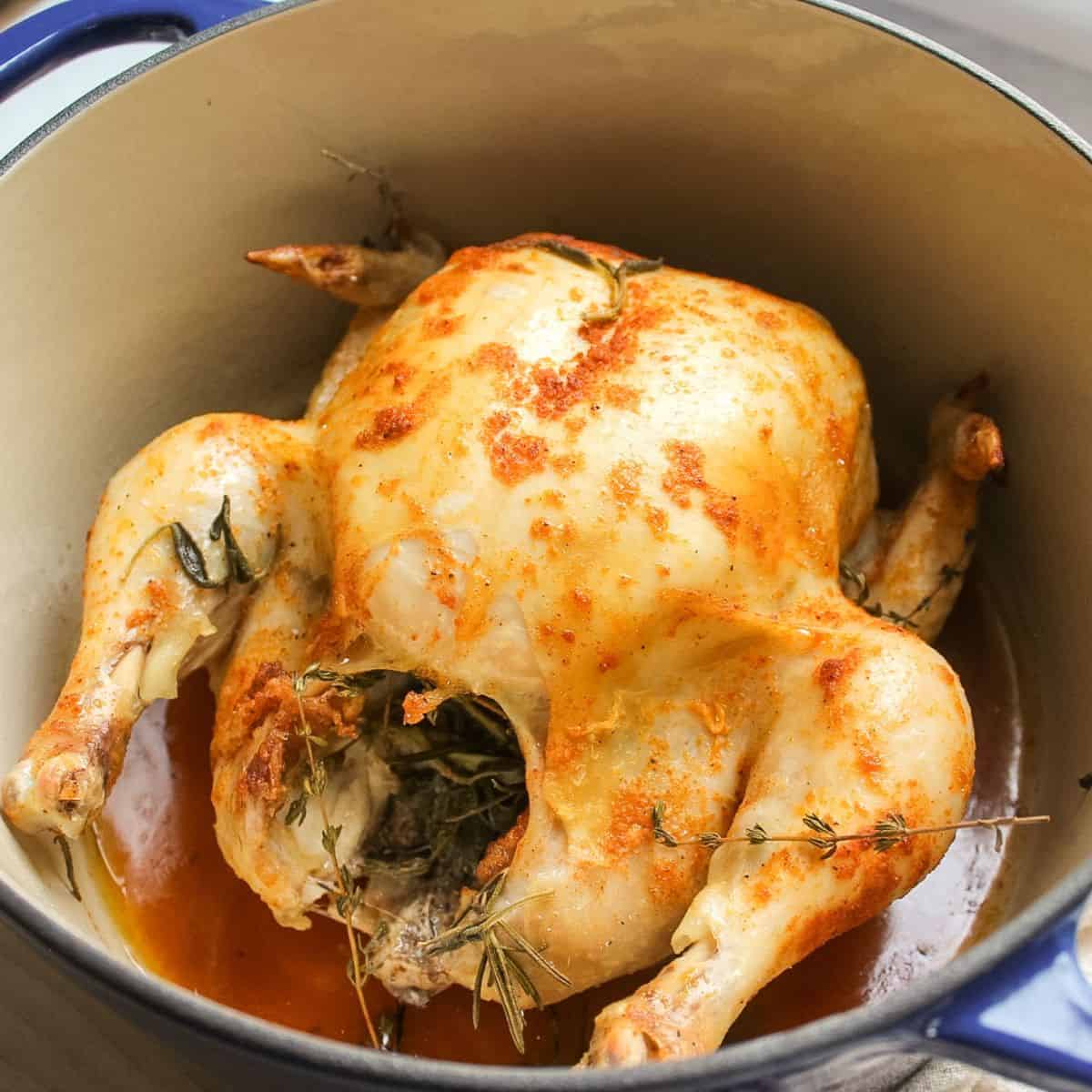 Roasted whole chicken with golden skin in a dutch oven pot.