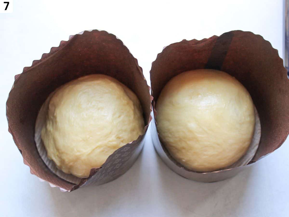 Dough divided into balls and placed into the paska molds. 
