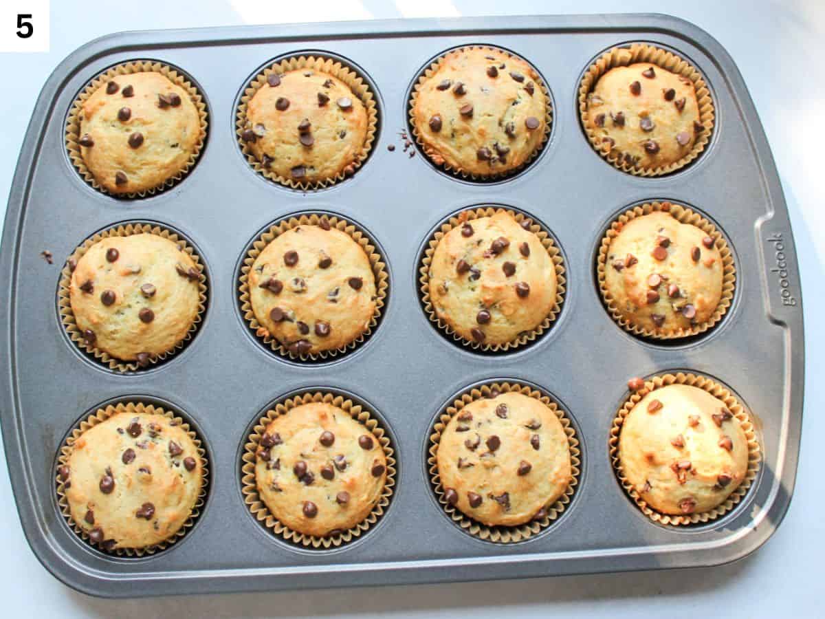 Freshly baked sour cream chocolate chip muffins with golden tops in a muffin tin.