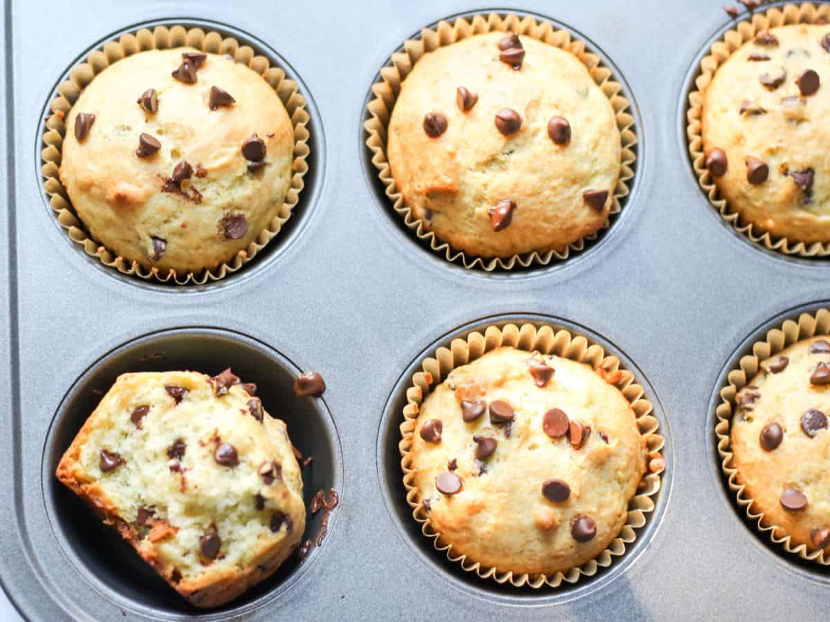 Freshly baked sour cream chocolate chip muffins in a metal tin, with one muffin broken in half to reveal a soft, fluffy crumb and melted chocolate. 