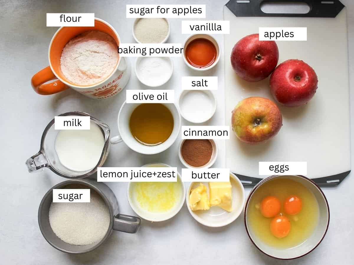 Apple bread recipe ingredients on a white background. 
