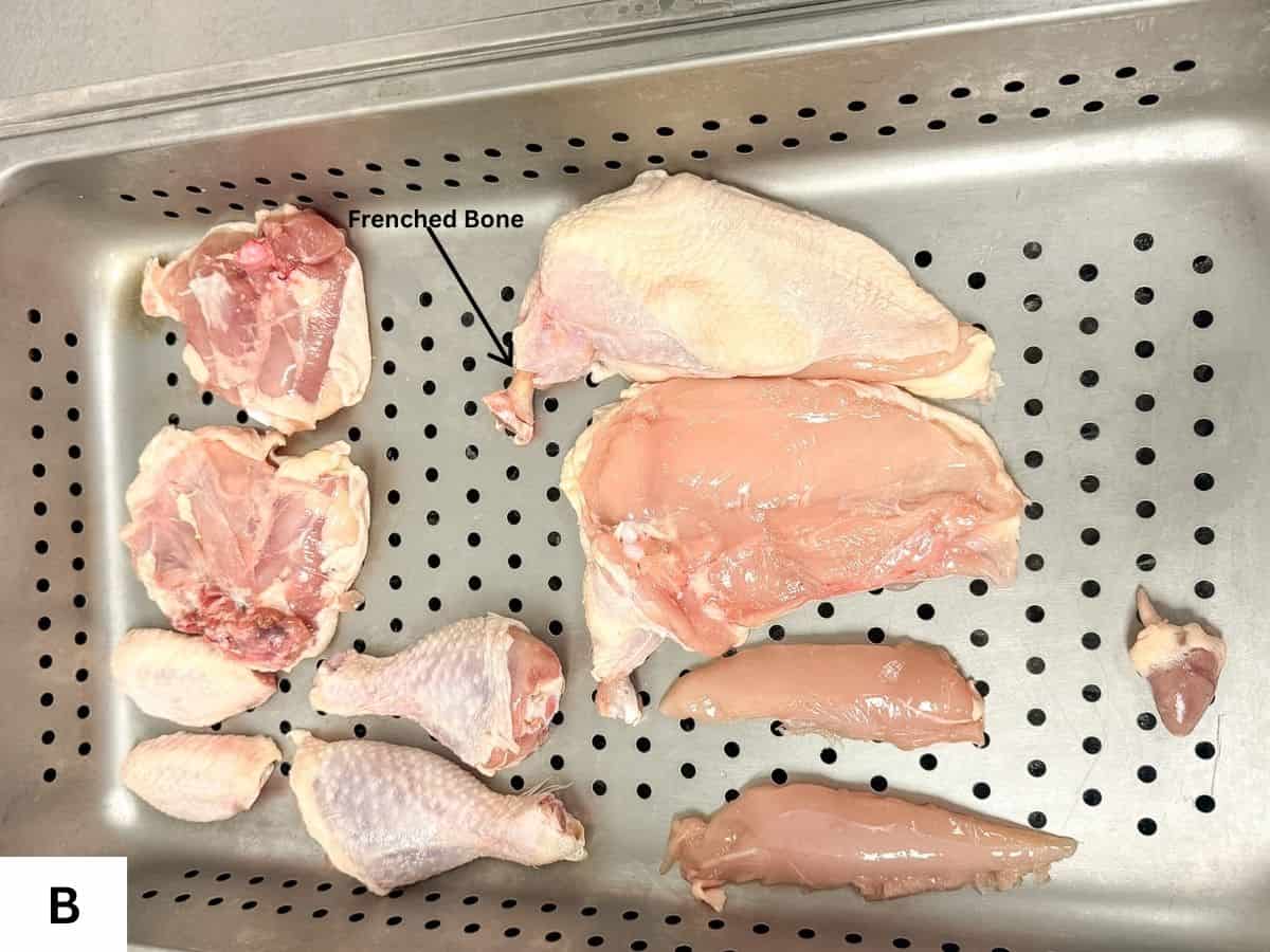 Whole chicken cut into 10 pieces arranged in a hotel pan, with the chicken breast having frenched bone attached.